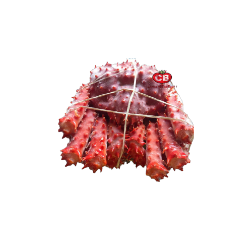 Chile Frz King Crab (Long Spike) | 冷冻智利帝王蟹（长刺）