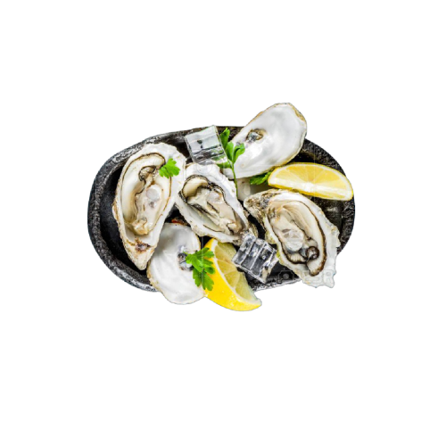 Frz Half Shell Oyster | 冷冻半壳生蚝